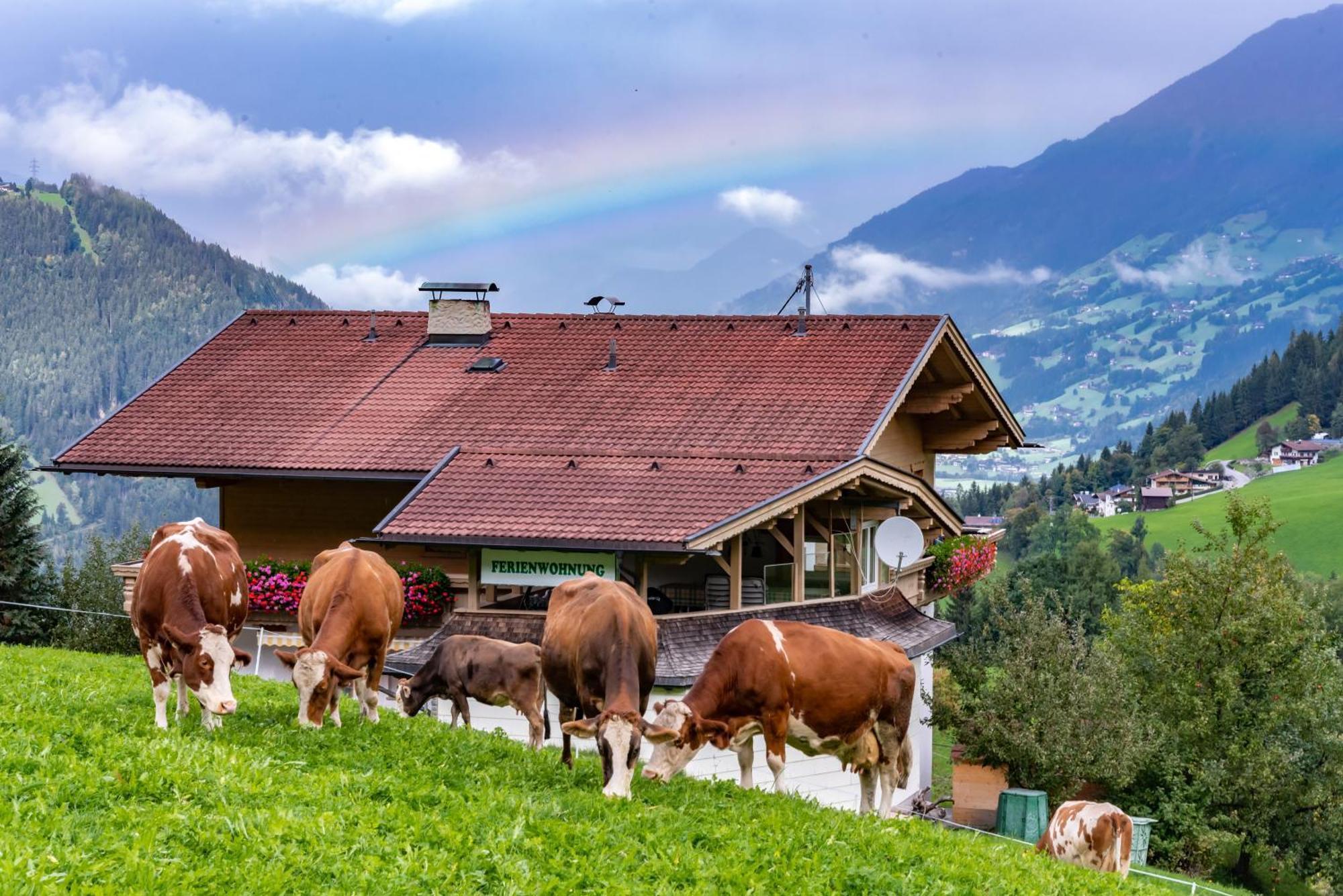 Ferienwohnung Ausblick Zillertal Гайнценберг Екстер'єр фото